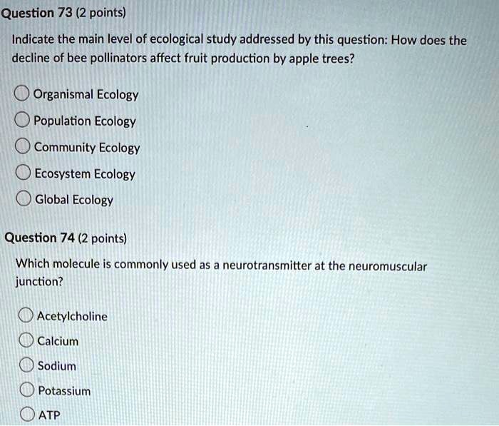 SOLVED Question 73 (2 points) Indicate the main level of ecological