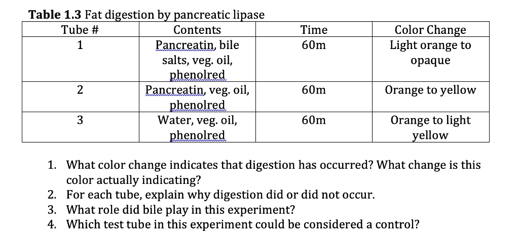 lipase experiment fat