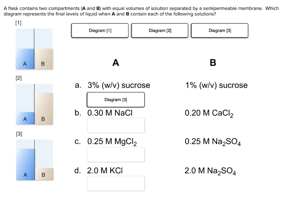 SOLVED A flask contains two compartments (A and B) with equal volumes