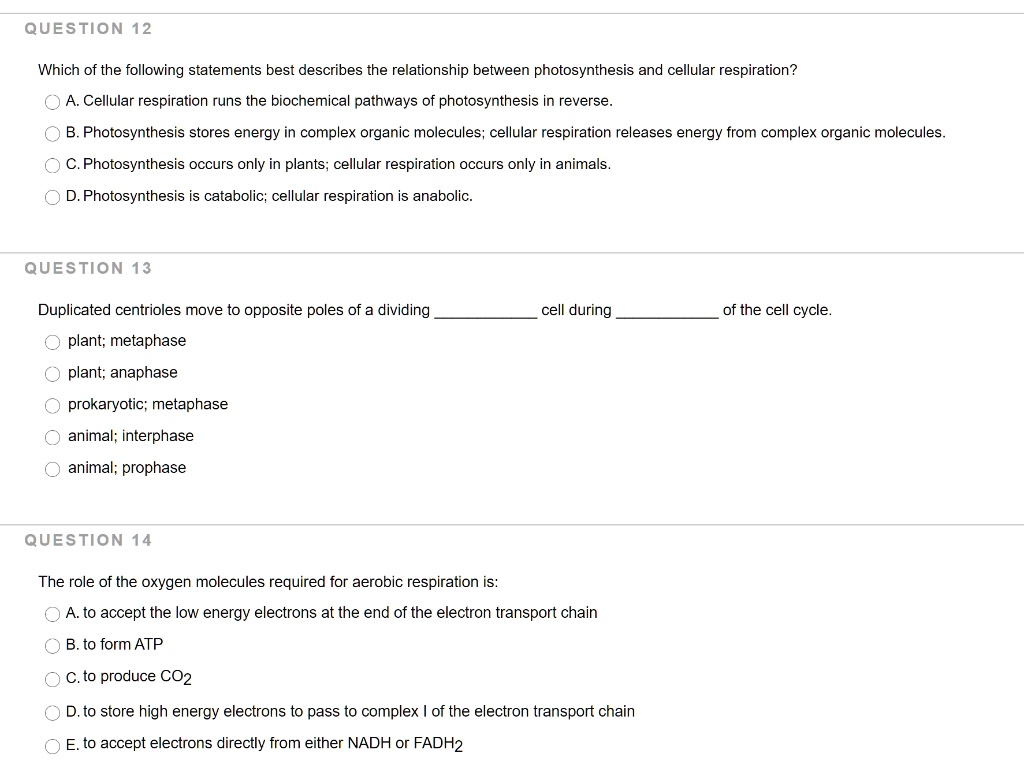 VIDEO solution: QUESTION 12 Which of the following statements best ...