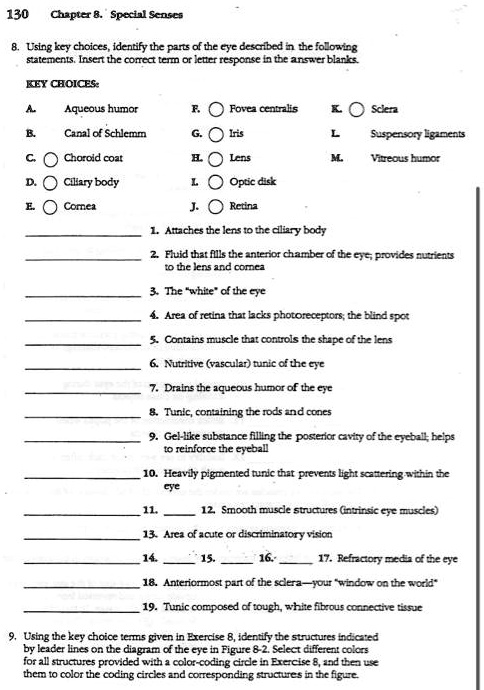 8. Using key choices, identify the parts of the eye described in the following
statements. Insert the correct term or letter response in the answer blanks.
KEY CHOICES:
A. Aqueous humor F. Fovea centralis K. Sclera
B. Canal of Schlemm G. Iris L. Suspensory ligaments
C. Choroid coat H. Lens M. Vitreous humor
D. Ciliary body I. Optic disk
E. Cornea J. Retina
1. Attaches the lens to the ciliary body
2. Fluid that fills the anterior chamber of the eye; provides nutrients
to the lens and cornea
3. The "white" of the eye
4. Area of retina that lacks photoreceptors; the blind spot
5. Contains muscle that controls the shape of the lens
6. Nutritive (vascular) tunic of the eye
7. Drains the aqueous humor of the eye
8. Tunic, containing the rods and cones
9. Gel-like substance filling the posterior cavity of the eyeball; helps
to reinforce the eyeball
10. Heavily pigmented tunic that prevents light scattering within the
eye
11.  12. Smooth muscle structures (intrinsic eye muscles)
13. Area of acute or discriminatory vision
14.  15.  16.  17. Refractory media of the eye
18. Anteriormost part of the sclera—your "window on the world"
19. Tunic composed of tough, white fibrous connective tissue
9. Using the key choice terms given in Exercise 8, identify the structures indicated
by leader lines on the diagram of the eye in Figure 8-2. Select different colors
for all structures provided with a color-coding circle in Exercise 8, and then use
them to color the coding circles and corresponding structures in the figure.