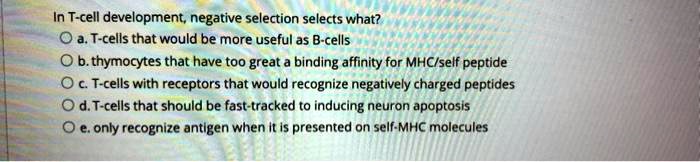 In T-cell development, negative selection selects what?
a. T-cells that would be more useful as B-cells
b. thymocytes that have too great a binding affinity for MHC/self peptide
c. T-cells with receptors that would recognize negatively charged peptides
d. T-cells that should be fast-tracked to inducing neuron apoptosis
e. only recognize antigen when it is presented on self-MHC molecules