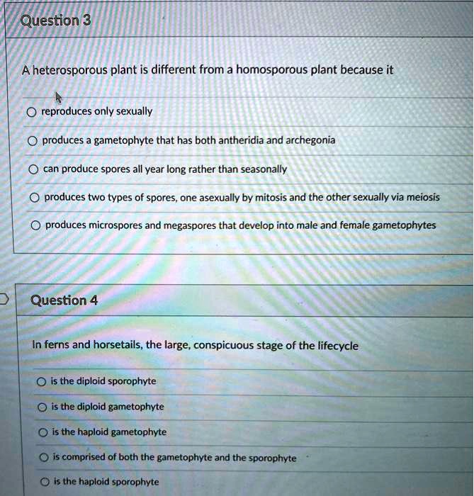 SOLVED Question 3 A heterosporous plant is different from a