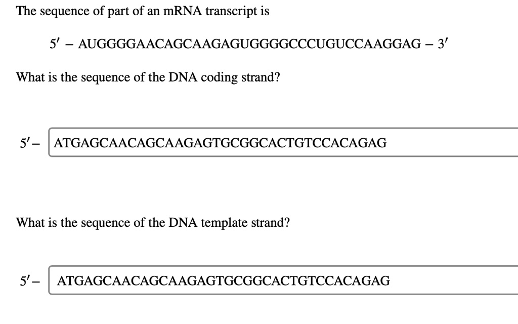 The sequence of part of an mRNA transcript is
5'-AUGGGGAACAGCAAGAGUGGGGCCCUGUCCAAGGAG - 3'
What is the sequence of the DNA coding strand?
5'-ATGAGCAACAGCAAGAGTGCGGCACTGTCCACAGAG
What is the sequence of the DNA template strand?
5'-ATGAGCAACAGCAAGAGTGCGGCACTGTCCACAGAG