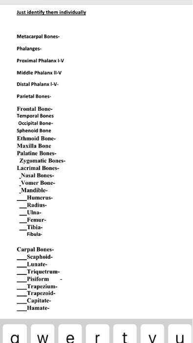 Just identify them individually Metacarpal Bones- Phalanges- Proximal ...