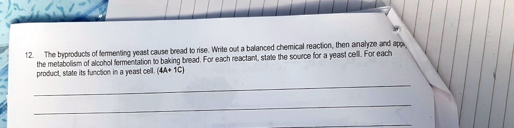 The byproducts of fermenting yeast cause bread to rise. Write out a balanced chemical reaction, then analyze and apply the metabolism of alcohol fermentation to baking bread. For each reactant, state the source for a yeast cell. For each product, state its function in a yeast cell. (4A+ 1C)