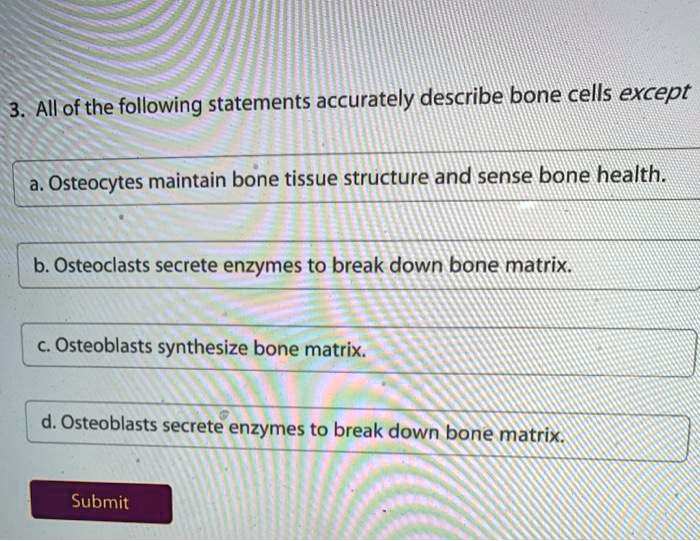 SOLVED All of the following statements accurately describe bone cells