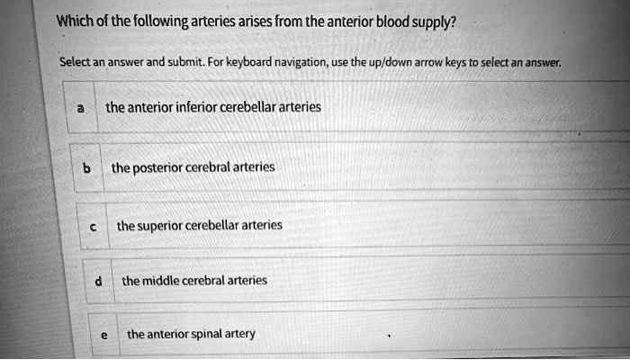 Which of the following arteries arises from the anterior blood supply?
a the anterior inferior cerebellar arteries
b the posterior cerebral arteries
c the superior cerebellar arteries
d the middle cerebral arteries
e the anterior spinal artery