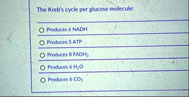 the krebs cycle per glucose molecule produces 6 nadh produces 5 atp produces 8 fadh2 produces 6 h2o produces 6 co2 91259
