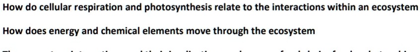 How do cellular respiration and photosynthesis relate to the interactions within an ecosystem

How does energy and chemical elements move through the ecosystem