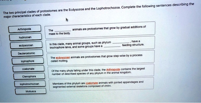 SOLVED: Complete the following sentences describing the Ecdysozoa and