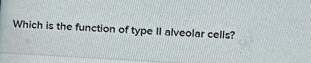 Which is the function of type II alveolar cells? Which is the function ...