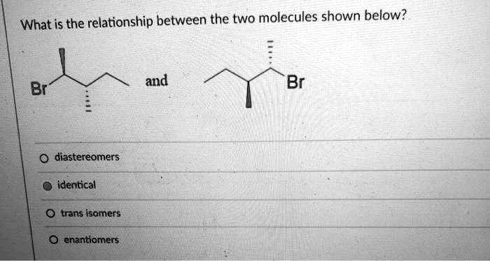 Solved What Is The Relationship Between The Two Molecules Shown Below And Br Br Diastereomers 2542