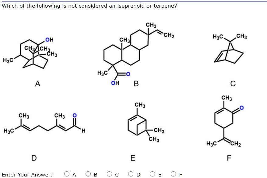 SOLVED Which of the following is not considered an isoprenoid or
