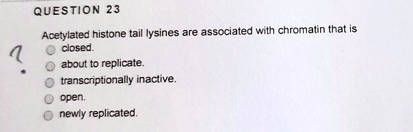 QUESTION 23
Acetylated histone tail lysines are associated with chromatin that is
closed.
about to replicate.
transcriptionally inactive.
open.
newly replicated.