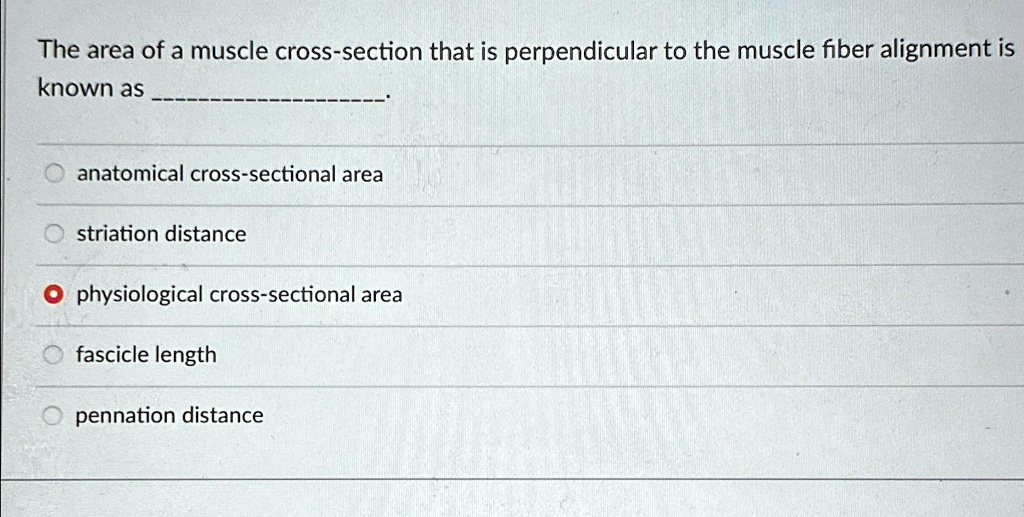 SOLVED: The area of a muscle cross-section that is perpendicular to the ...