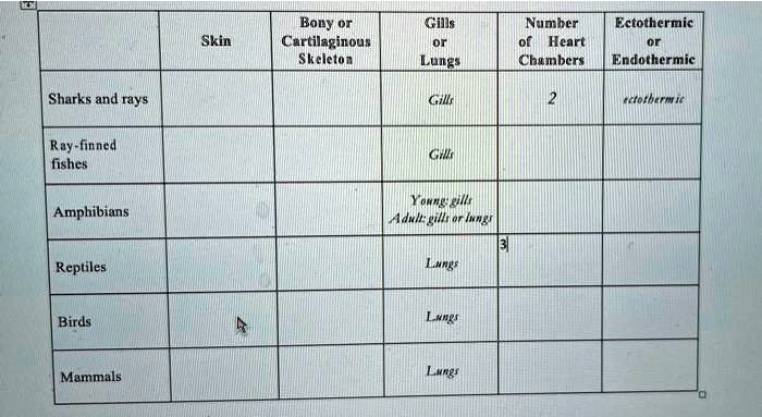 SOLVED: Bony or Cartilaginous Skeleton Gills Number of Heart Chambers