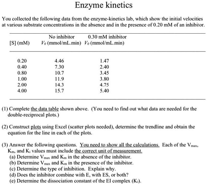 enzyme kinetics lab answers