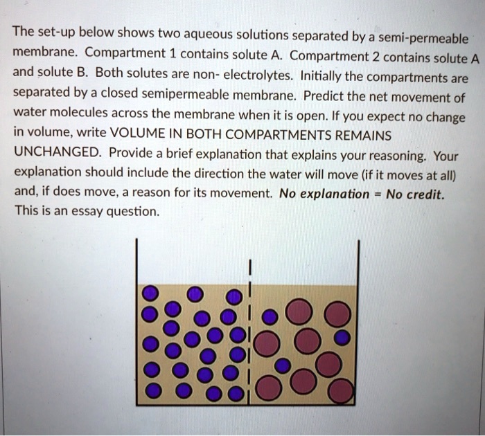 SOLVED: The Set-up Below Shows Two Aqueous Solutions Separated By A ...