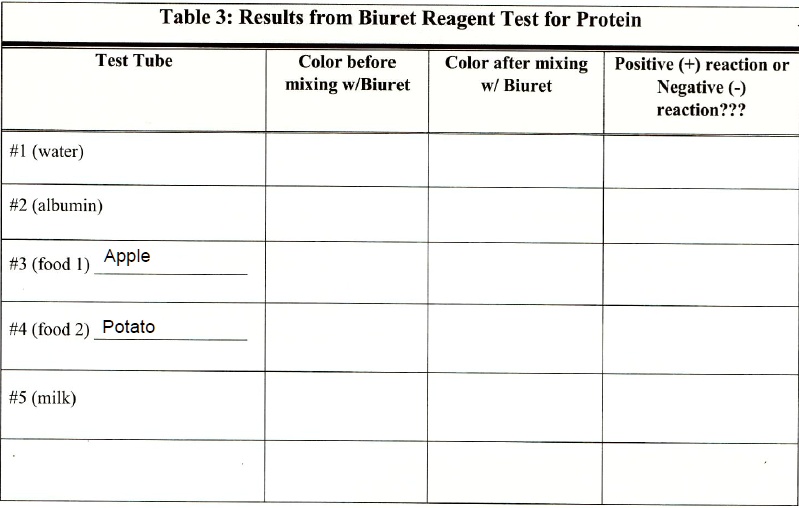 Table 3 Results from Biuret Reagent Test for Protein Test Tube Color