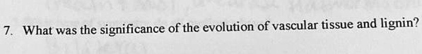 7. What was the significance of the evolution of vascular tissue and lignin?