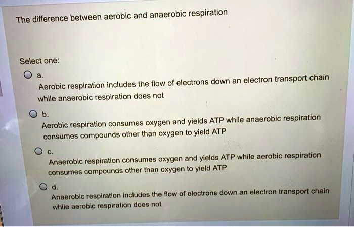 SOLVED: The difference between aerobic and anaerobic respiration ...