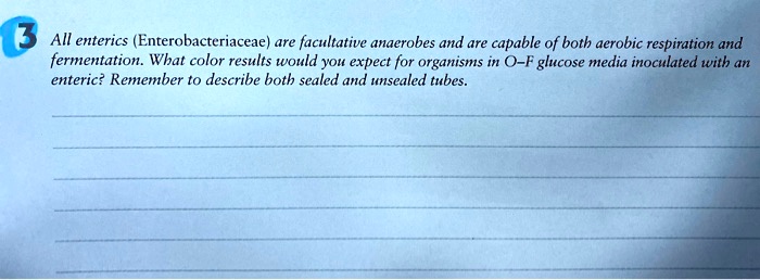 All enterics (Enterobacteriaceae) are facultative anaerobes and are capable of both aerobic respiration and fermentation. What color results would you expect for organisms in O-F glucose media inoculated with an enteric? Remember to describe both sealed and unsealed tubes.