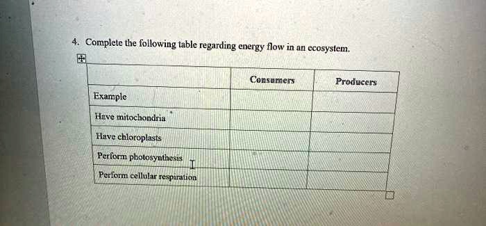 Solved:complete The Following Table Regarding Energy Flow In An1 Ecosystem  Consunters Produccr: Example Hare Mitochondria Have Chloroplasts Perform  Photosynthesis Perform Cellulur Icspirution Solved:complete The Following Table Regarding Energy Flow In An1 Ecosystem  Consunters Produccr: Example Hare Mitochondria Have Chloroplasts Perform  Photosynthesis Perform Cellulur Icspirution