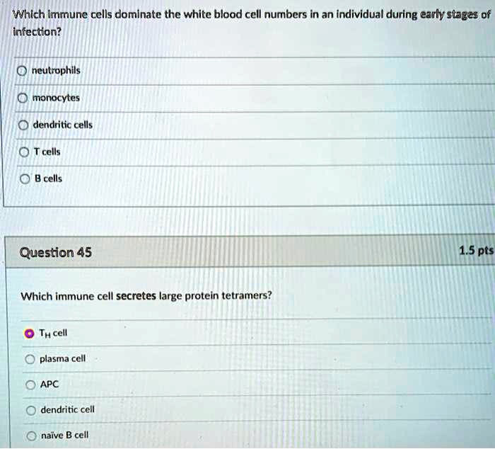 Which immune cells dominate the white blood cell numbers in an individual during early stages of infection?

neutrophils
monocytes
dendritic cells
T cells
B cells

Question 45
1.5 pts
Which immune cell secretes large protein tetramers?

TH cell
plasma cell
APC
dendritic cell
naïve B cell