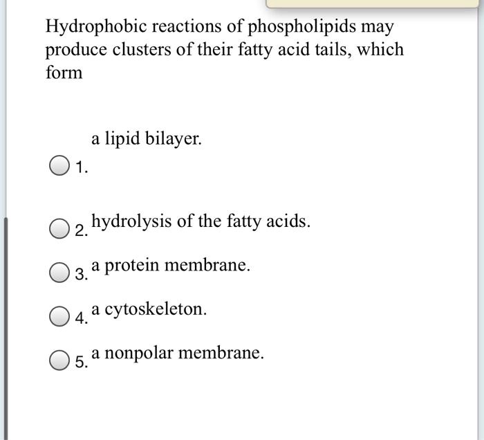 SOLVED Hydrophobic reactions of phospholipids may produce clusters of their fatty acid tails