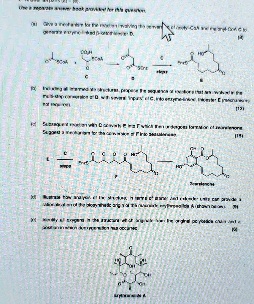 pans (a)-(?).
Use a separate answer book provided for this question.
(a)
Give a mechanism for the reaction involving the convers
generate enzyme-linked β-ketothioester D.
CO2H
SCoA
of acetyl-CoA and malonyl-CoA C to
(8)
HO
C
OSCoA
+
EnzS
SEnz
steps
C
D
E
(b) Including all intermediate structures, propose the sequence of reactions that are involved in the
multi-step conversion of D, with several ïnputsöf C, into enzyme-linked, thioester E (mechanisms
not required).
(12)
(c) Subsequent reaction with C converts E into F which then undergoes formation of zearalenone.
Suggest a mechanism for the conversion of F into zearalenone.
C
E
EnzS
steps
Zearalenone
(15)
(d) Illustrate how analysis of the structure, in terms of starter and extender units can provide a
rationalisation of the biosynthetic origin of the macrolide erythronollde A (shown below). (9)
(e) Identify all oxygens in the structure which originate from the original polyketide chain and a
position in which deoxygenation has occurred.
(6)
OH
OH
"OH
"OH
Erythronolide A