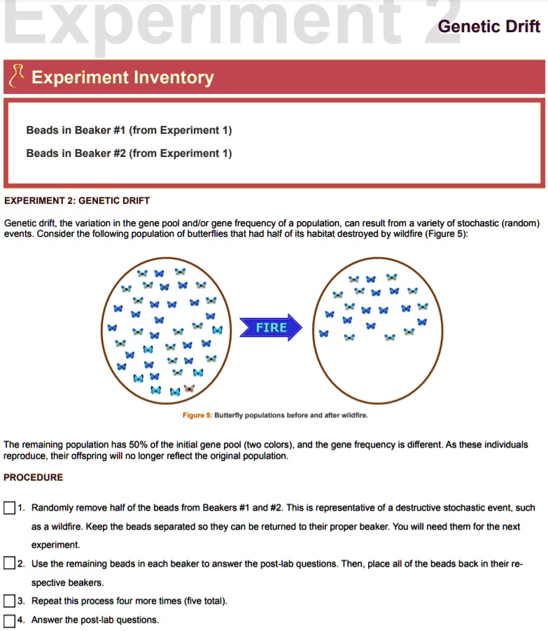 experiment 1 genetic variation