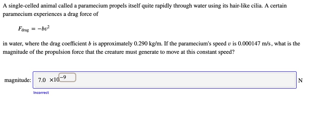 SOLVED: A single-celled animal called a paramecium propels itself quite ...