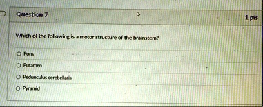 question 7 1 pts which of the following is a motor structure of the brainstem pons putamen pedunculus cerebellaris pyramid 79135