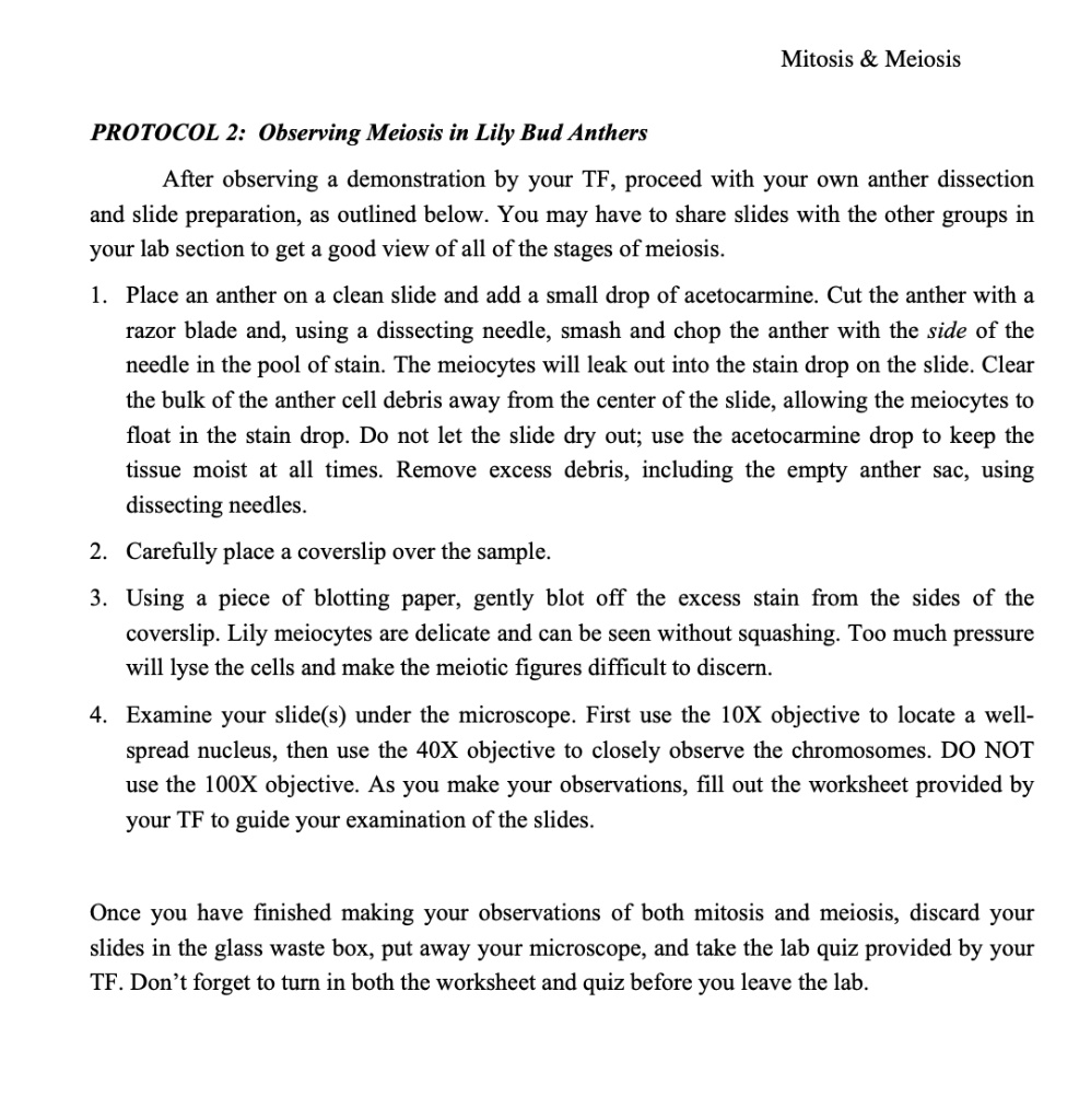 mitosis meiosis protocol 2 observing meiosis in lily bud anthers after ...