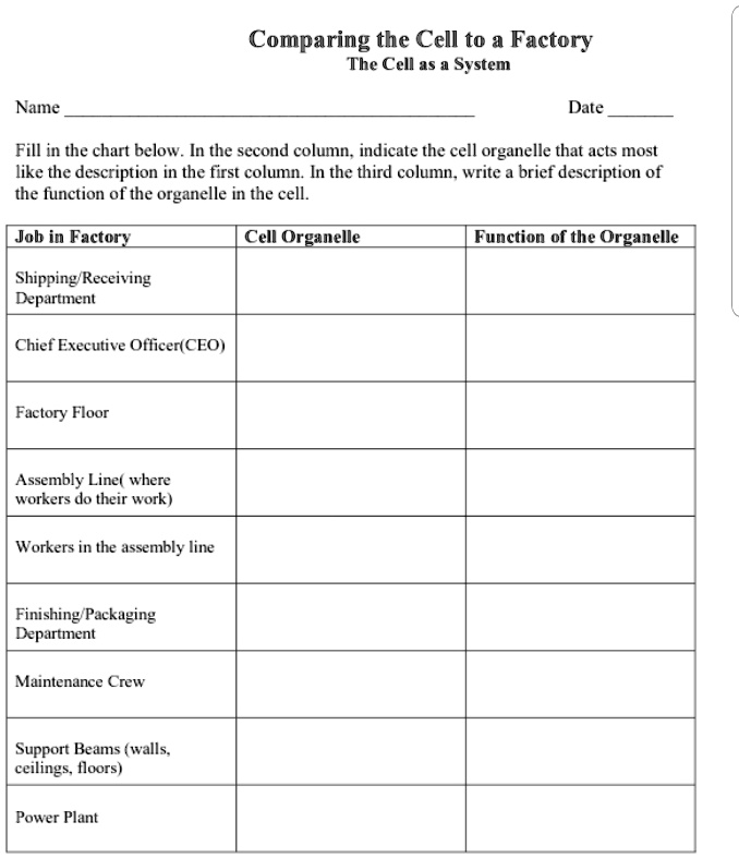 SOLVED Text Comparing the Cell to a Factory The Cell as a System