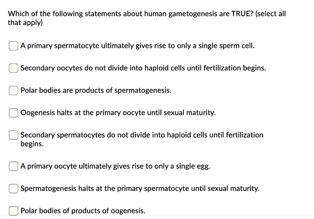 Solved:which Of The Following Statements About Human Gametogenesis Are True?  (Select All That Apply) Primary Spermatocyte Ultimately Gives Rise To Only  A Single Sperm Cell: Secondary Oocytes Do Not Divide Into Haploid Solved:which Of The Following Statements About Human Gametogenesis Are True?  (Select All That Apply) Primary Spermatocyte Ultimately Gives Rise To Only  A Single Sperm Cell: Secondary Oocytes Do Not Divide Into Haploid