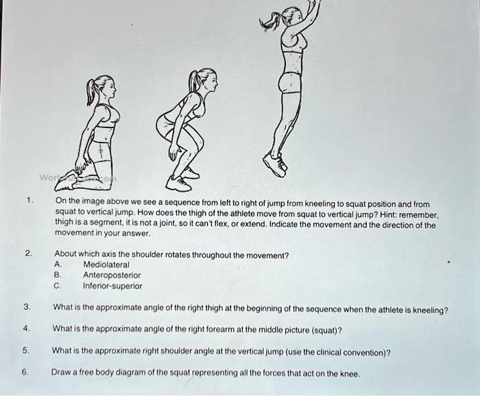 SOLVED: 1. How does the thigh of the athlete move from squat to ...