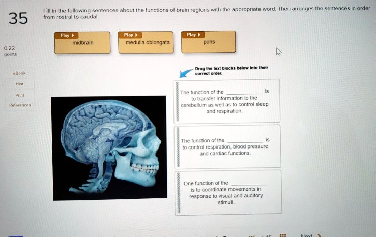 SOLVED: Fill In The Following Sentences About The Functions Of Brain ...