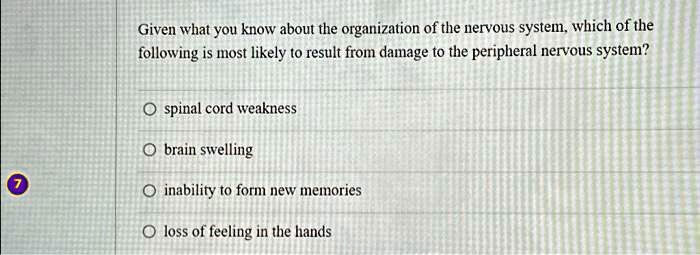 Given what you know about the organization of the nervous system, which of the
following is most likely to result from damage to the peripheral nervous system?

Ospinal cord weakness
Obrain swelling
inability to form new memories
loss of feeling in the hands