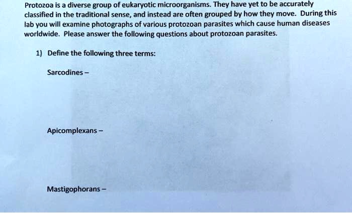 Protozoa is a diverse group of eukaryotic microorganisms. They have yet to be accurately classified in the traditional sense, and instead are often grouped by how they move. During this lab you will examine photographs of various protozoan parasites which cause human diseases worldwide. Please answer the following questions about protozoan parasites.

1) Define the following three terms:

Sarcodines –


Apicomplexans –


Mastigophorans –
