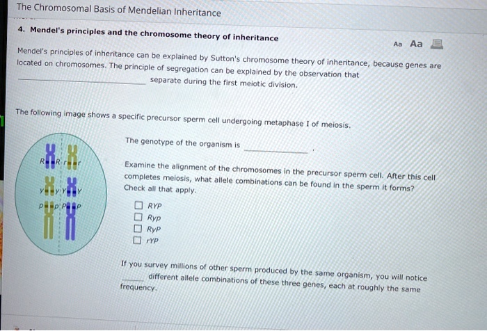 SOLVED: The Chromosomal Basis of Mendelian Inheritance: Mendel's ...