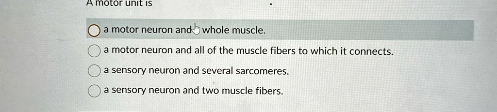 a motor unit is a motor neuron and whole muscle a motor neuron and all ...