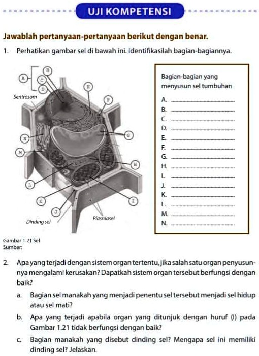 SOLVED: Tolong Jawab No.1 Dan 2 UJI KOMPETENSI Jawablah Pertanyaan ...