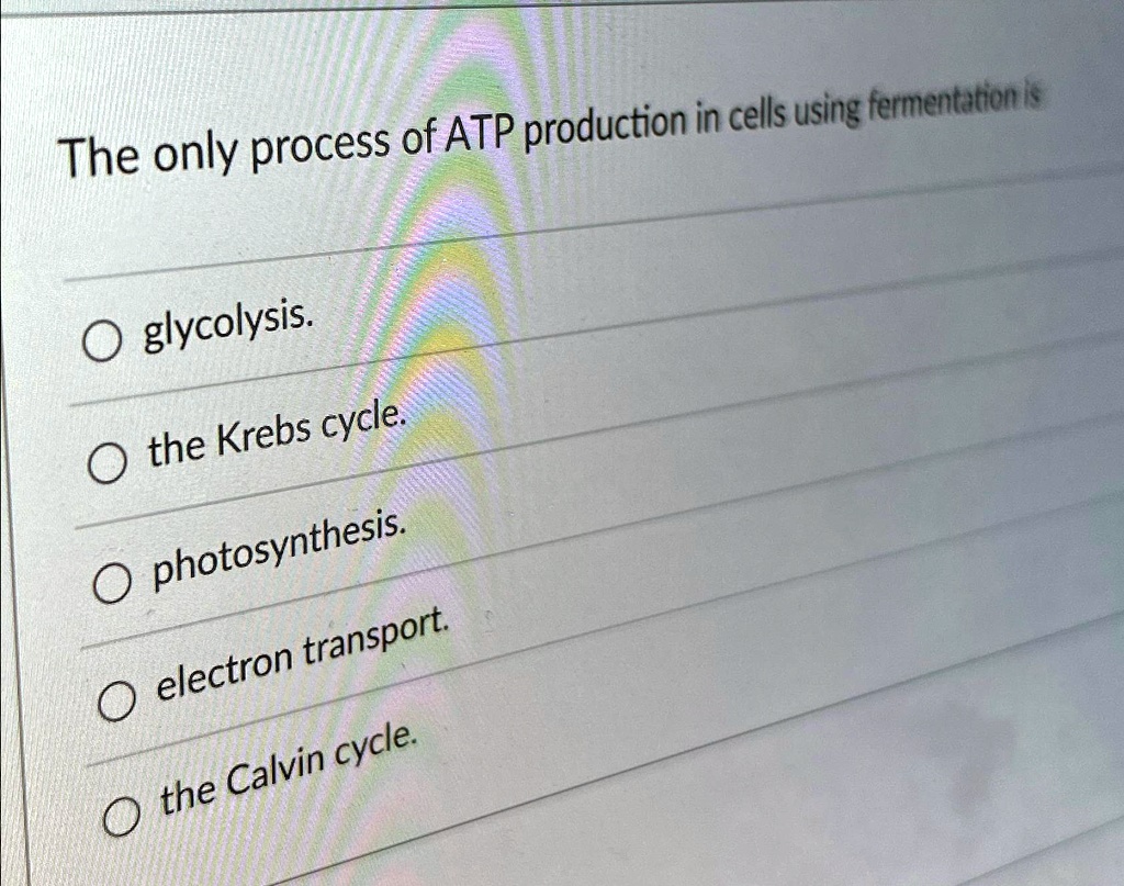 the only process of atp production in cells using fermentation is ...