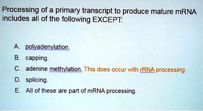 Processing of a primary transcript to produce mature mRNA includes all of the following EXCEPT:
A. polyadenylation.
B. capping.
C. adenine methylation. This does occur with rRNA processing.
D. splicing.
E. All of these are part of mRNA processing.