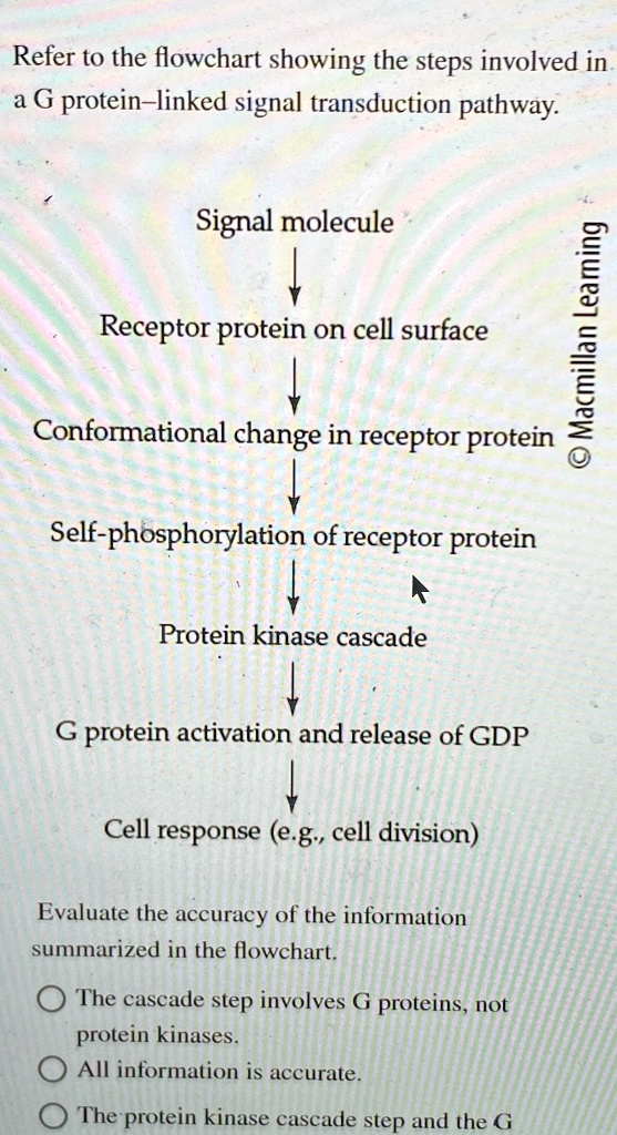 SOLVED: Refer to the flowchart showing the steps involved in a G ...