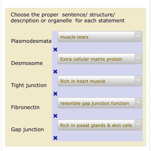 SOLVEDChoose the proper sentence/ structure/ description or organelle