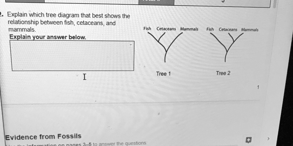 SOLVED: Explain which tree diagram best shows the relationship between