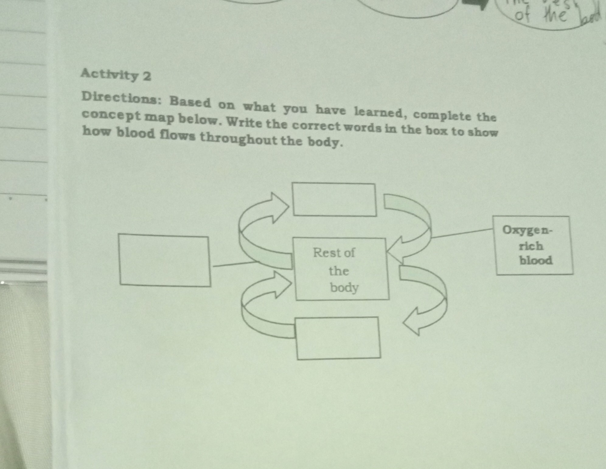 Drag The Terms To Complete The Concept Map Below - mrq6d0y